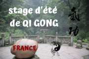 Stage d'été de QI GONG 2022 en FRANCE