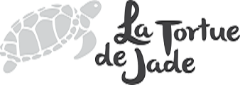 logo boutique tortue de jade